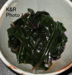 kazetc-Dec2 040-1.jpg