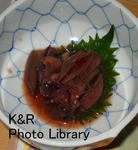 kazetc-Feb1 048-1.jpg
