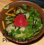 kazetc-Feb1 059-1.jpg