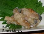 kazetc-Oct1 039-1.jpg