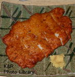 kazetc-Sep2 037-1.jpg