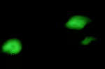 rieHachi7.6 026-1.jpg
