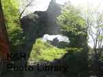 rieMyogi-May 014-1.jpg