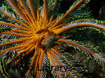 rieOse-Aprl 045-1.jpg