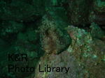 rieShishi-Aprl 044-1.jpg